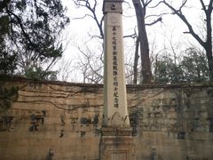 -灵谷景区