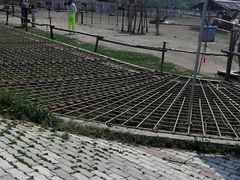 长颈鹿-哈尔滨北方森林动物园
