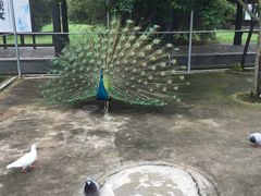 -凤凰沟景区