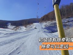 -多乐美地滑雪场