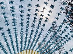 -军山湖云水间生态农业旅游景区