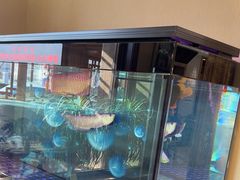 -民族饭荘(新华大街店)