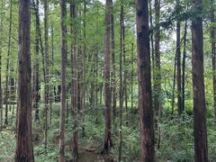 -东湖落雁景区