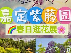 -嘉定紫藤园