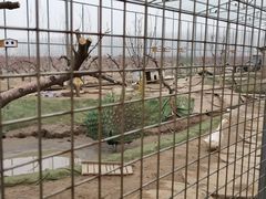 -河北村民俗体验园