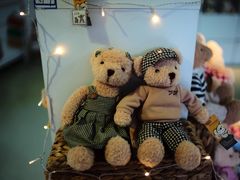 -成都泰迪熊博物馆