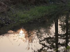 -四明湖