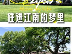 -杭州西湖柳莺里酒店