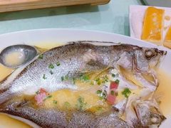 -高第街56号餐厅(宝龙店)