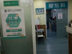 -瑞派长江宠物医院·猫科·外科·24小时夜护(谊城公寓分院)
