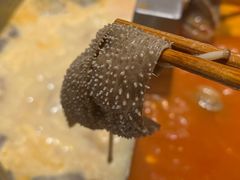 捞派毛肚-海底捞火锅(海悦天地店)