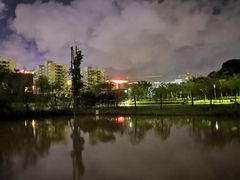 -飞凤山奥体公园