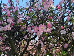 -东钱湖小普陀景区