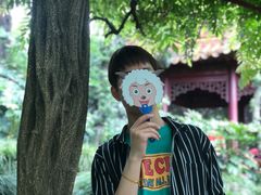 -嘉定紫藤园