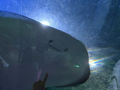 -南昌海洋公园