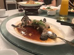 -上海金山滨海铂骊酒店-铂雅全日餐厅