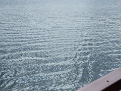 -南湖湿地公园