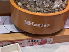 -龍歌自助小火锅(崂山丽达店)