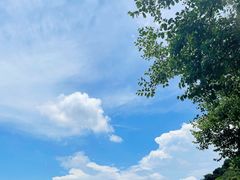 -广州市白云山风景名胜区