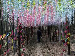 -众神白水涧景区