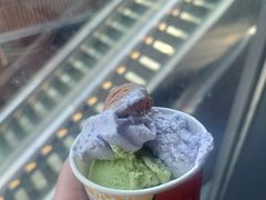 冰淇淋-龍二烧肉酒场(九亭店)