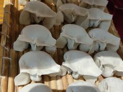 -老曹饺子馆(龙门大道店)