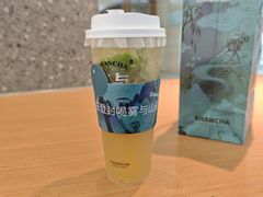 -雾与山茶(大禹城店)