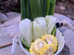 -正佳雨林生态植物园