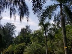 -北海市海滨公园