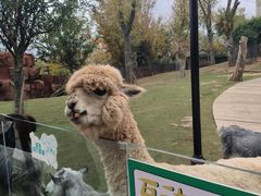 -南京金牛湖风景区