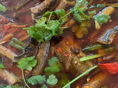 -高坎一品甲鱼庄(两河店)