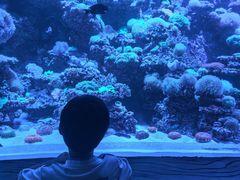 -太平洋海底世界