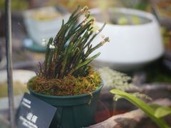 -国家植物园南园