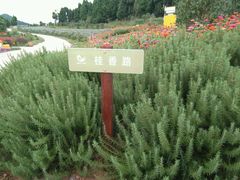 -中国香山·寿香谷