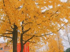 -西南民族大学南区(双流校区)