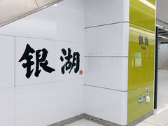 -银湖(地铁站)