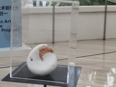 -凤凰中心