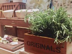 -咖啡苑·沈阳今旅酒店Hotel Jen·香格里拉集团