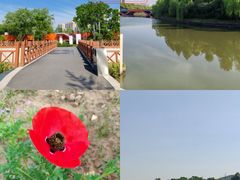 -皇粮浜湿地公园