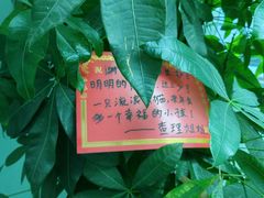 -申普宠物医院·心脏介入·心血管微创(总院)