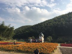 -宁波浙东大竹海景区