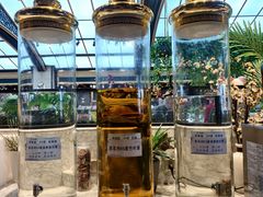 -川骄海鲜自助(王府井奥莱UP TOWN店原世界之花店)