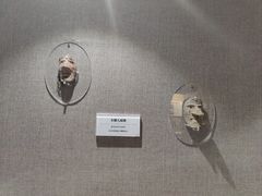 -巴音郭楞蒙古自治州博物馆