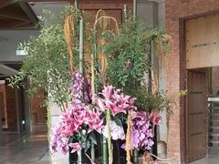 -浅深Cheersum(曹杨店)
