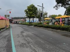-光明小镇欢乐田园