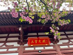 -西安乐游原