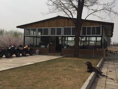 -大猫儿轰趴·团建·年会聚会(朝外店)