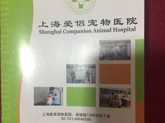 -爱侣宠医·鹦鹉专科·小型哺乳类·异宠专科(灵石路店)