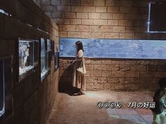 -zoonana室内动物园(东方福来德店)