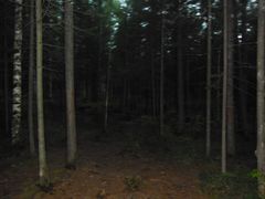 -峡谷浮石林景区